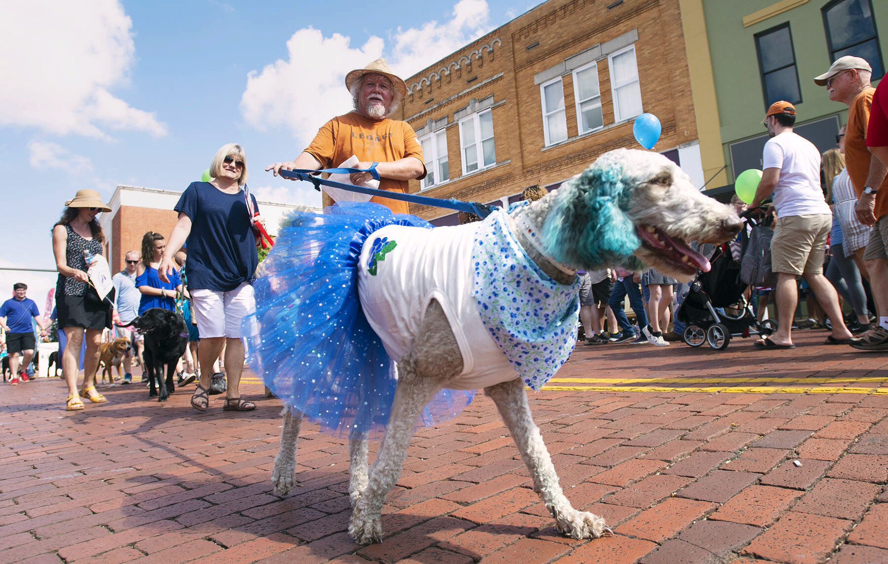 Blueberry Festival